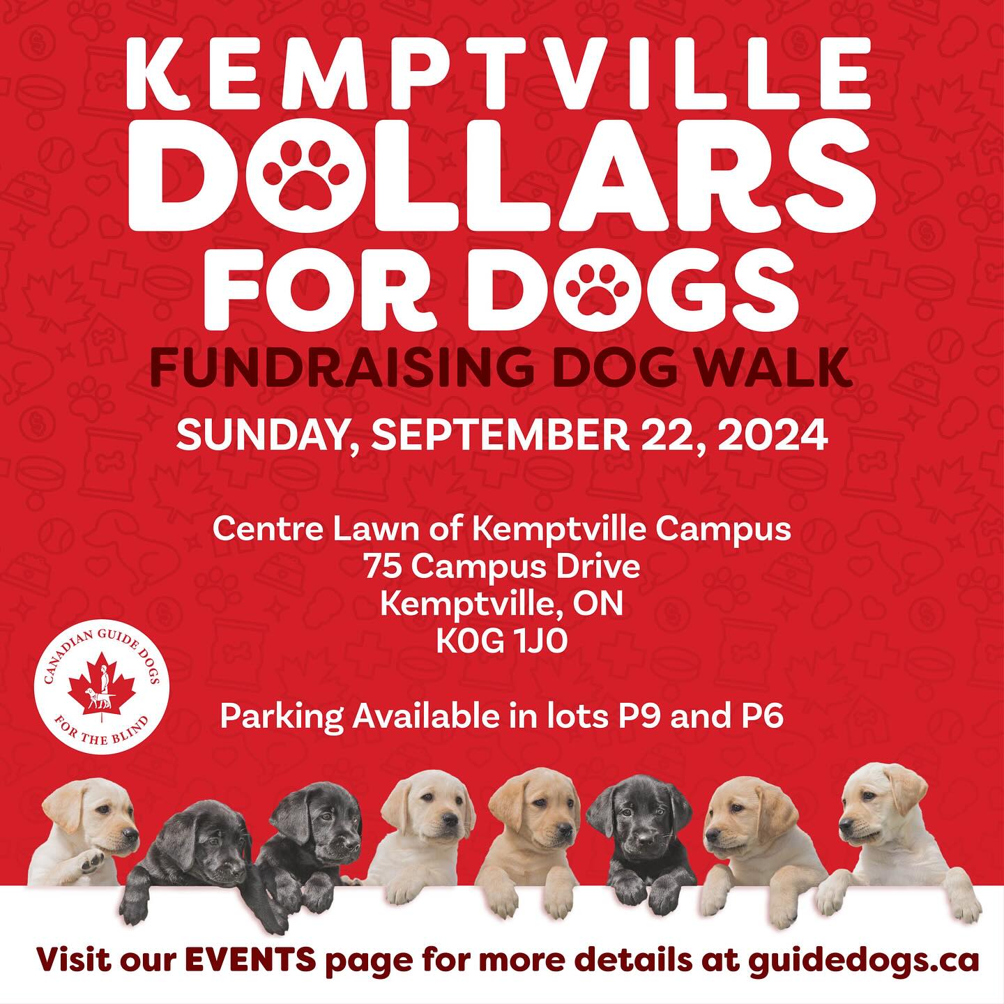 Cdn Guide Dogs Walk Sept 22nd